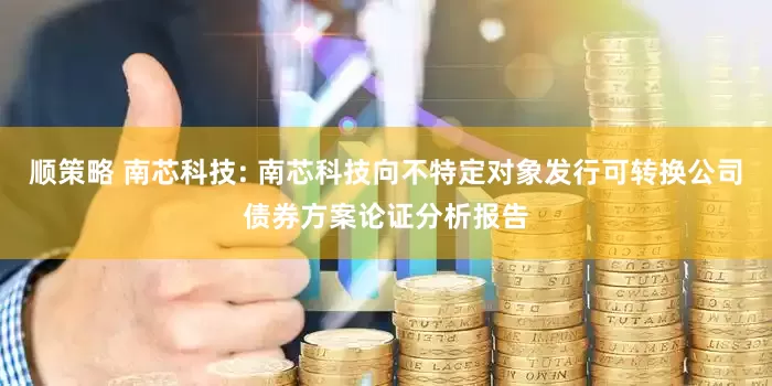 顺策略 南芯科技: 南芯科技向不特定对象发行可转换公司债券方案论证分析报告