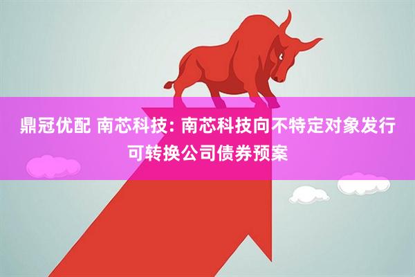 鼎冠优配 南芯科技: 南芯科技向不特定对象发行可转换公司债券预案