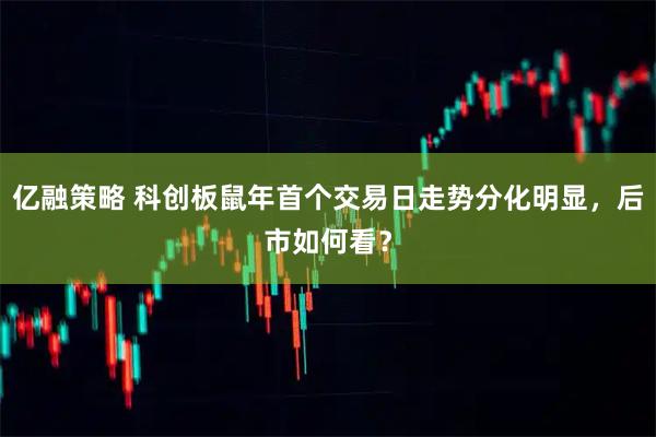 亿融策略 科创板鼠年首个交易日走势分化明显，后市如何看？