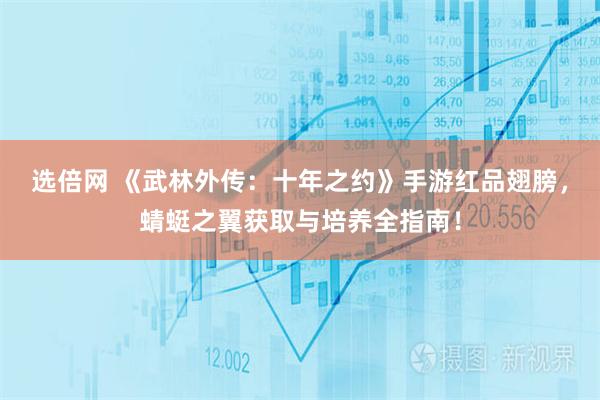 选倍网 《武林外传：十年之约》手游红品翅膀，蜻蜓之翼获取与培养全指南！