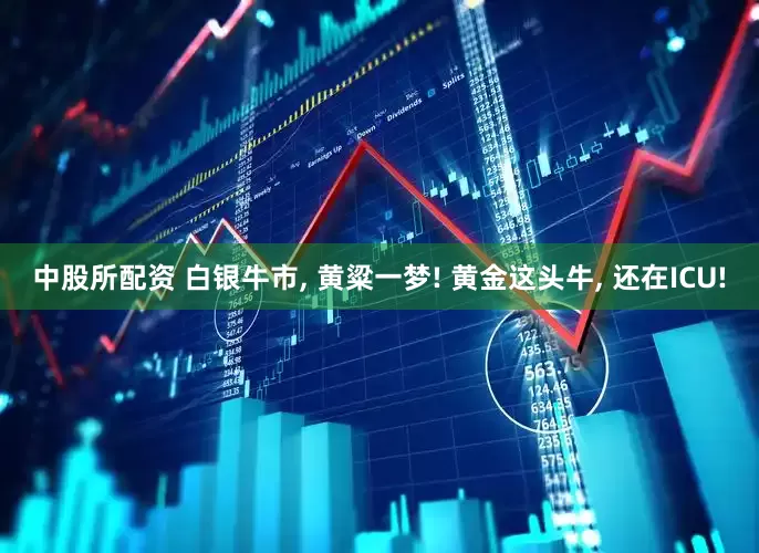 中股所配资 白银牛市, 黄粱一梦! 黄金这头牛, 还在ICU!